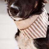 Mocha Stripe Dog Bandana