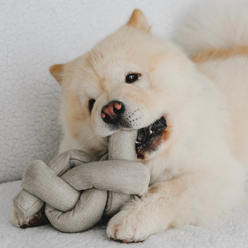 NOU™ - Enrichment and Interactive Dog Toy