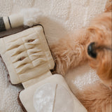 SETTING POWDER & BRUSH