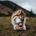 GUU - Lambwolf Collective