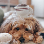 EXPRESSO POP - Lambwolf Collective