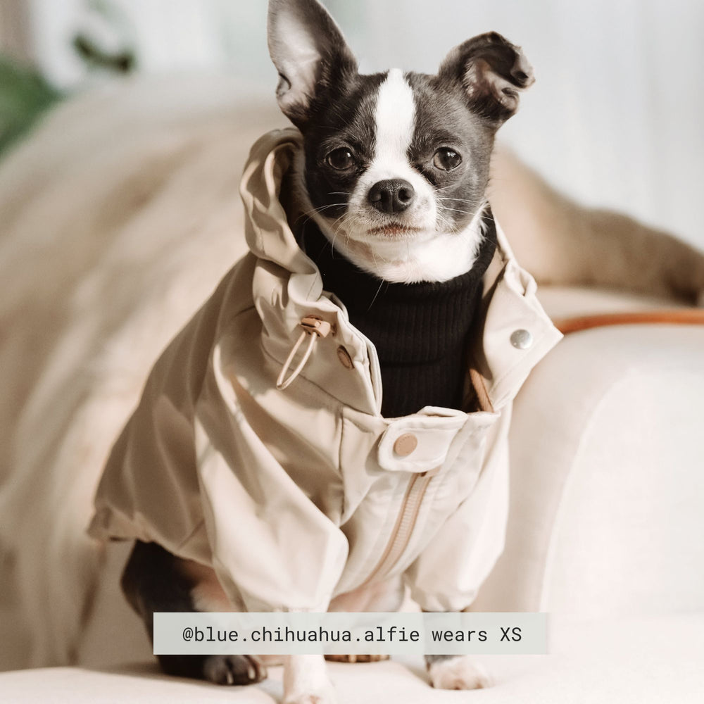 BROOKLYN Vêtements pour chiens Vêtements pour chiens