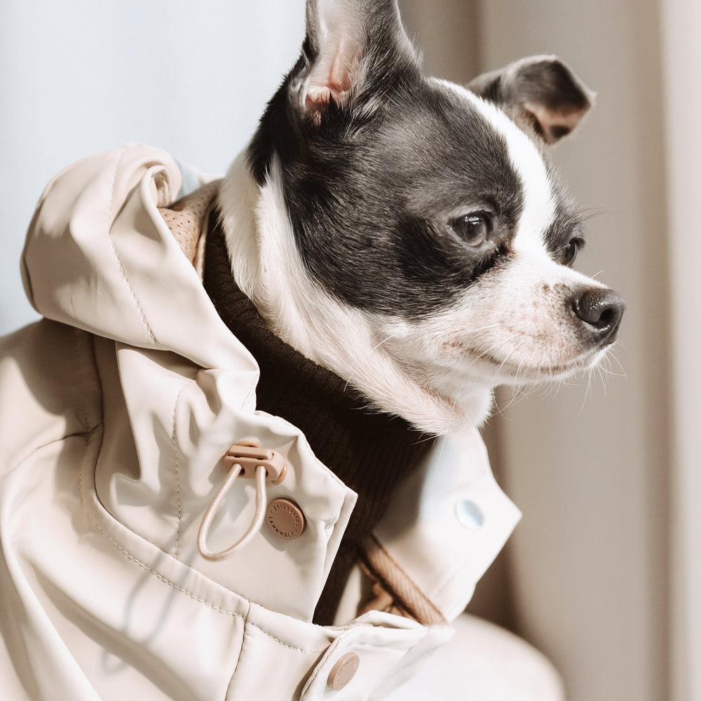 BRIGHTON Dog Clothes Dog Apparel Dog Raincoat