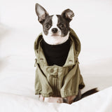 BROOKLYN - Lambwolf Collective