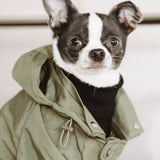 BROOKLYN - Lambwolf Collective