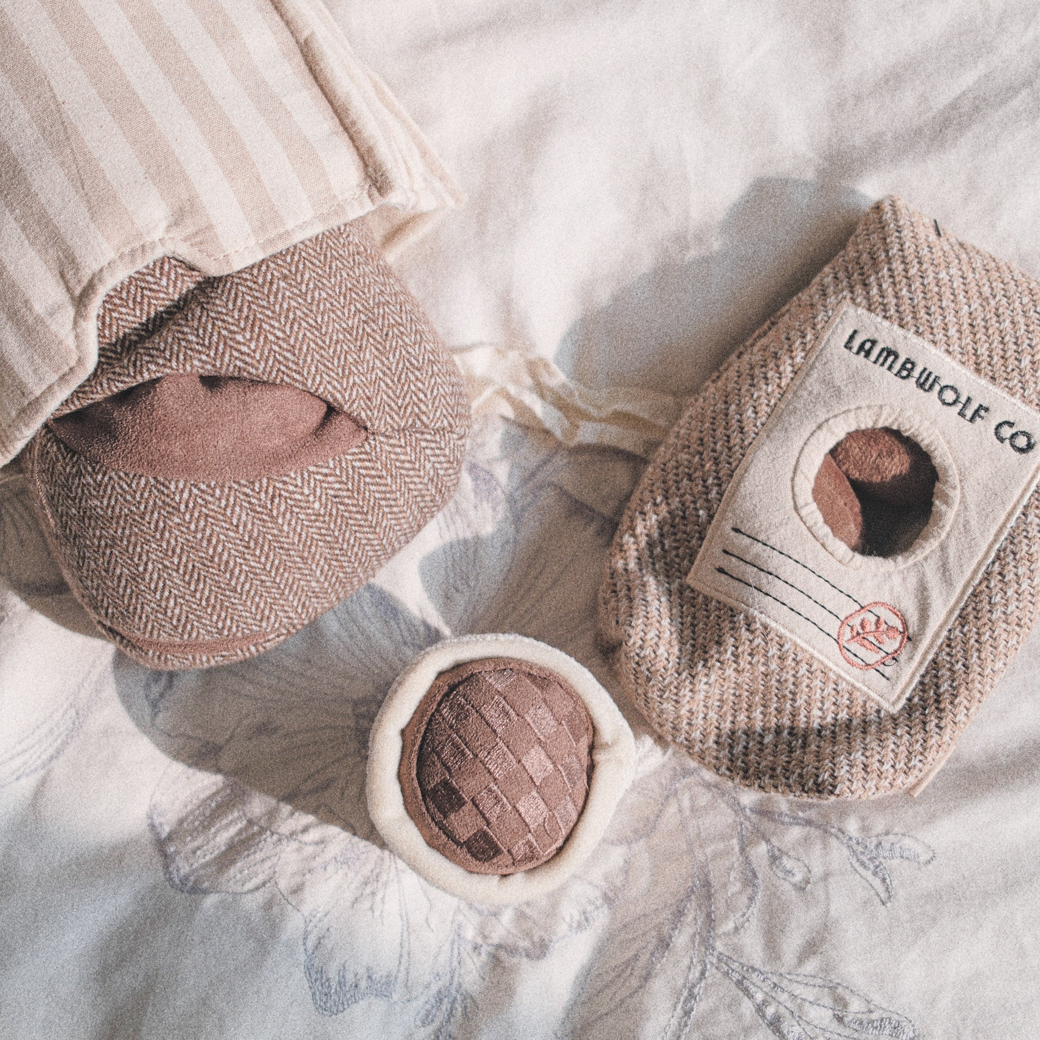 EXPRESSO POP - Lambwolf Collective