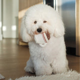 EXPRESSO POP - Lambwolf Collective