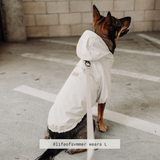 BRIGHTON - Lambwolf Collective