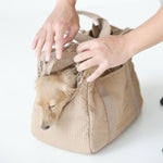 CITY - Lambwolf Collective