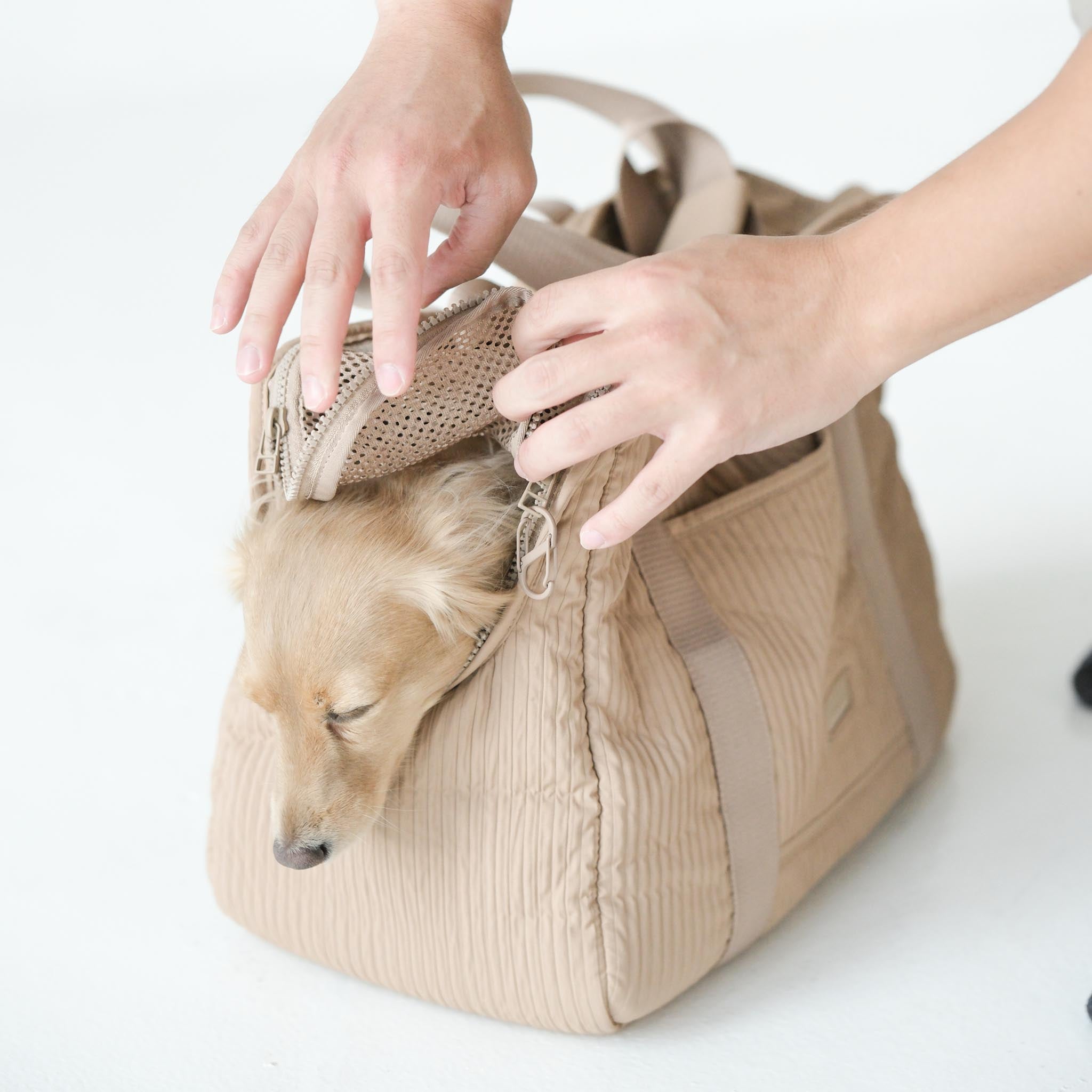 CITY - Lambwolf Collective