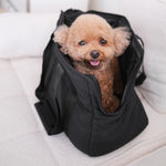 CITY - Lambwolf Collective