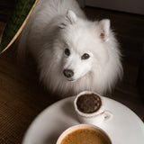 ESPRESSO POP