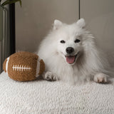 FOOTBALL