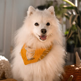 Pumpkin Spice Dog Bandana