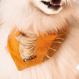 Pumpkin Spice Dog Bandana
