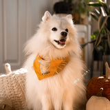 Pumpkin Spice Dog Bandana