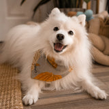 Pumpkin Spice Dog Bandana