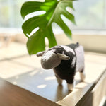 BARRY - Lambwolf Collective