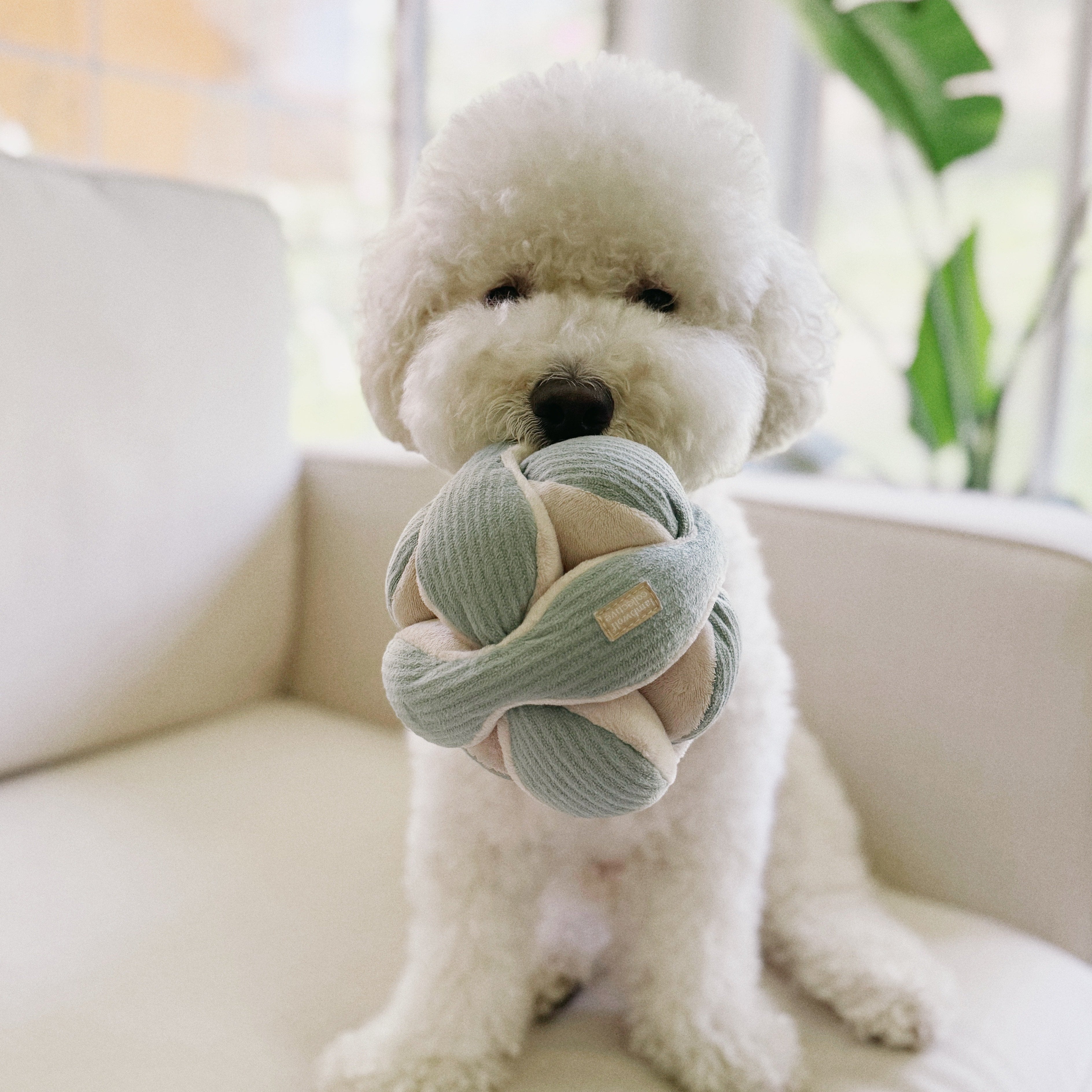 MONTI - S - Enrichment and Interactive Dog Toy | Puzzle Dog Toy