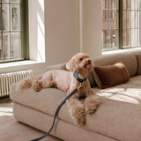 CROSSBODY LEASH