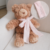 MY Teddy