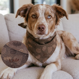 HARVEST Dog Bandana
