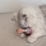 KITTY LIPSTICK