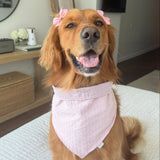 Blush Picnic Dog Bandana