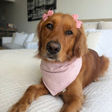 Blush Picnic Dog Bandana