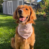 Blush Picnic Dog Bandana