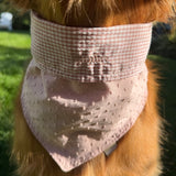 Blush Picnic Dog Bandana