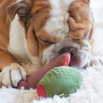 Olive + SALAMI - Lambwolf Collective