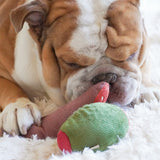 Olive + SALAMI - Lambwolf Collective