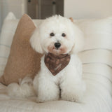 HARVEST Dog Bandana