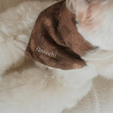 HARVEST Dog Bandana