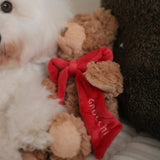 MY Teddy