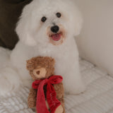 MY Teddy