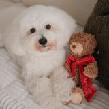 MY Teddy