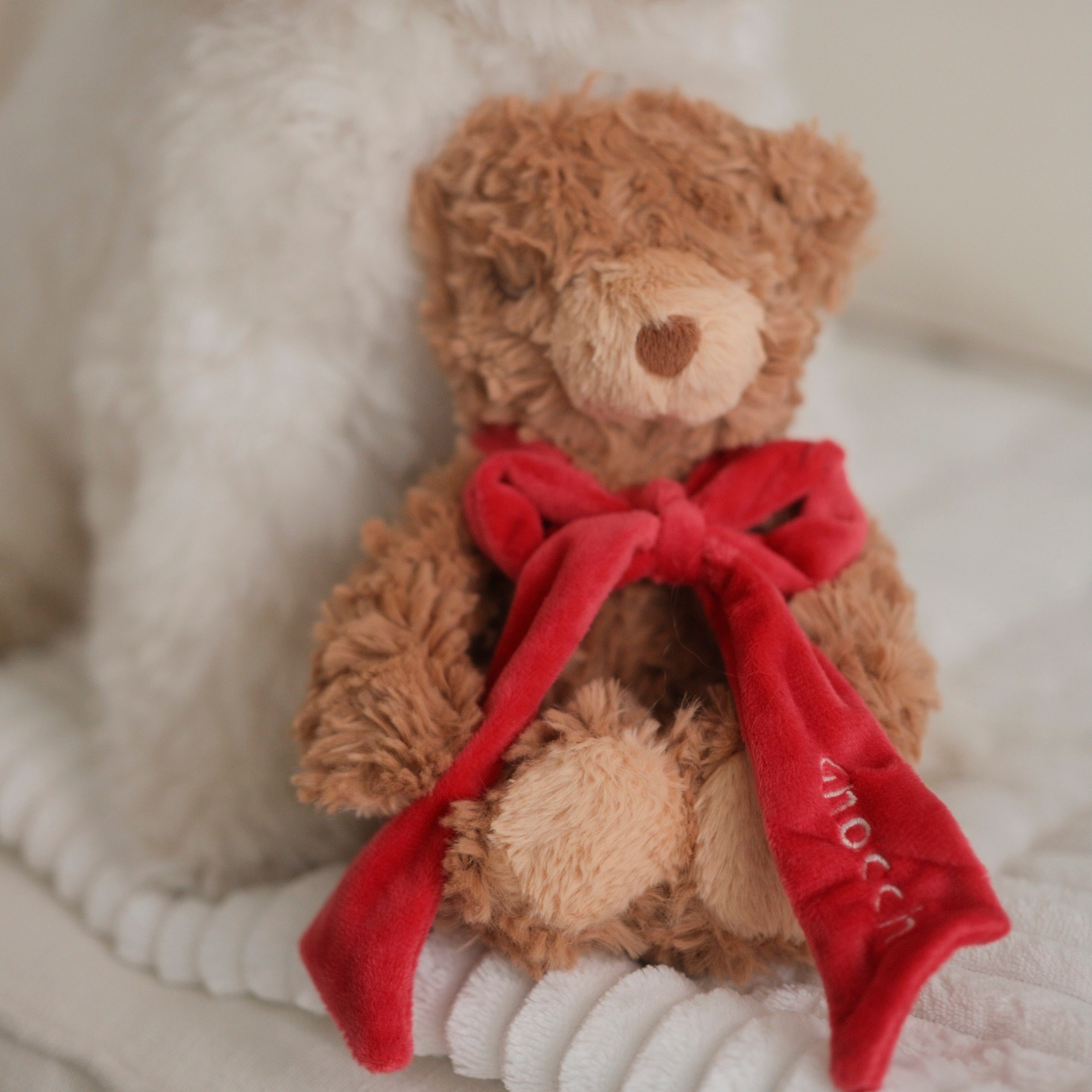 MY Teddy