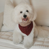 POPPY Dog Bandana