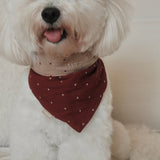 POPPY Dog Bandana
