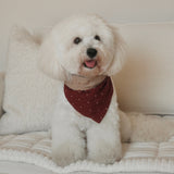 POPPY Dog Bandana
