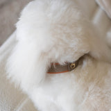 SABLE COLLAR