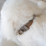 SABLE COLLAR
