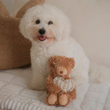 Initial Teddy