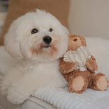Initial Teddy