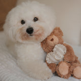 Initial Teddy