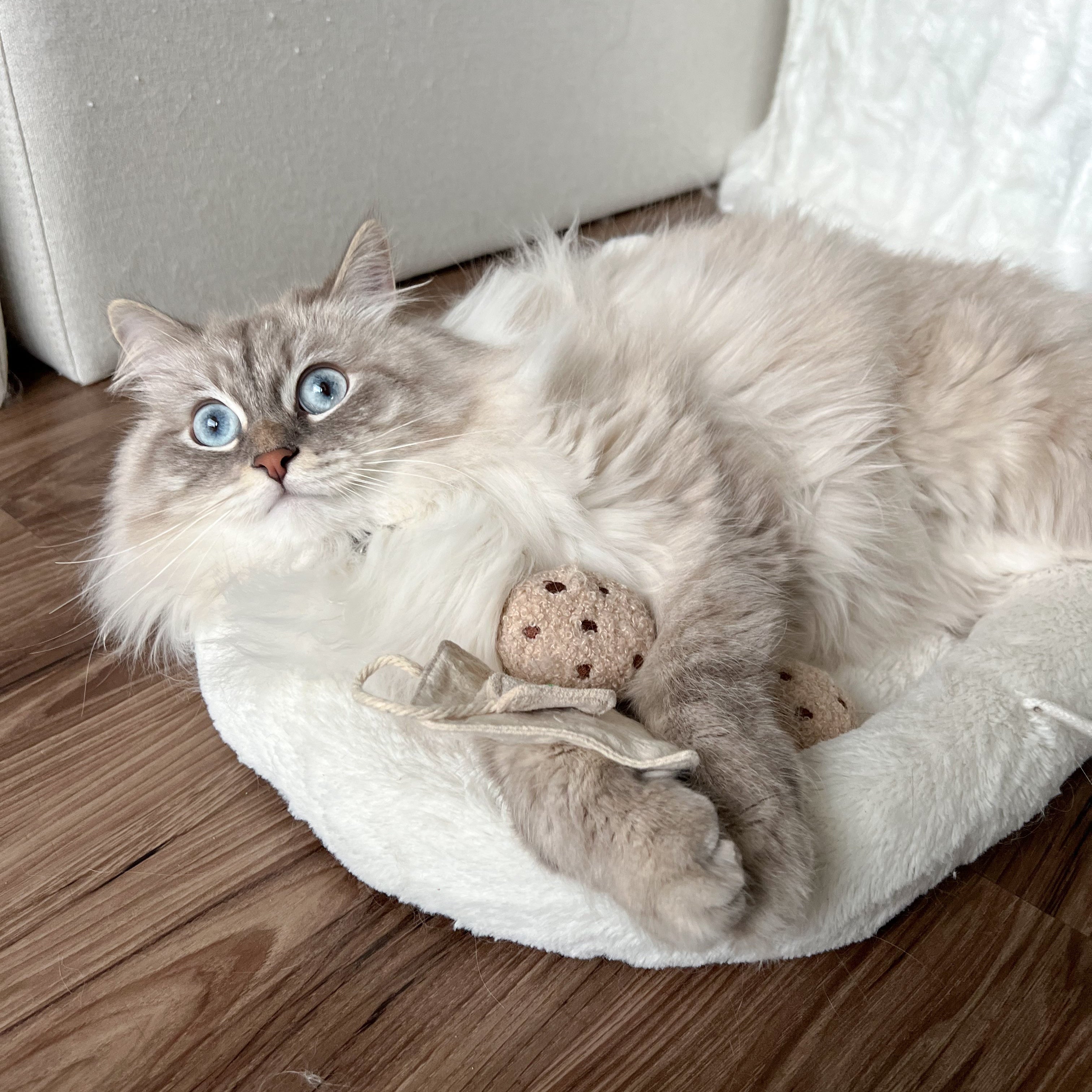 TEA TIME - Lambwolf Collective