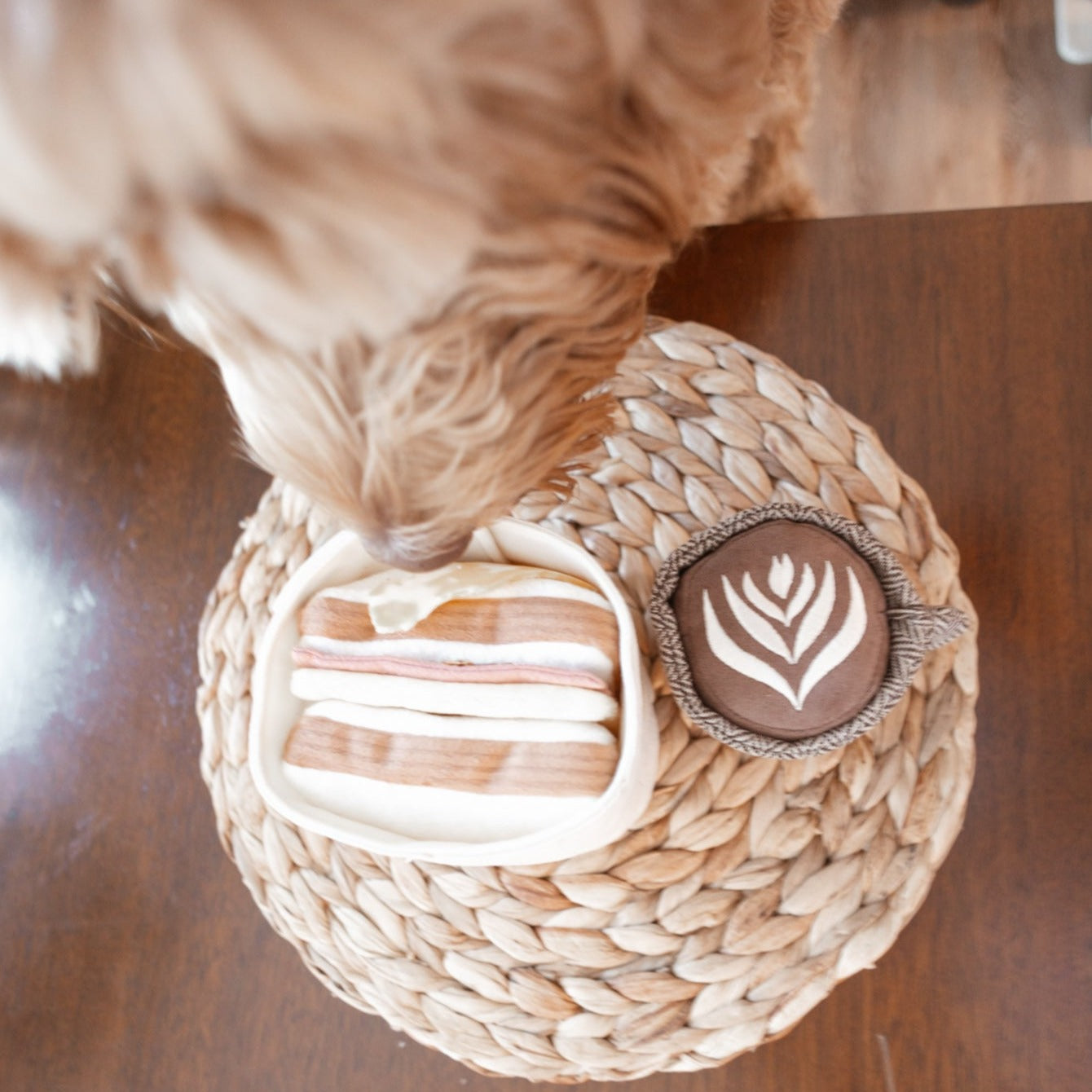 HAM & CHEESE - Lambwolf Collective