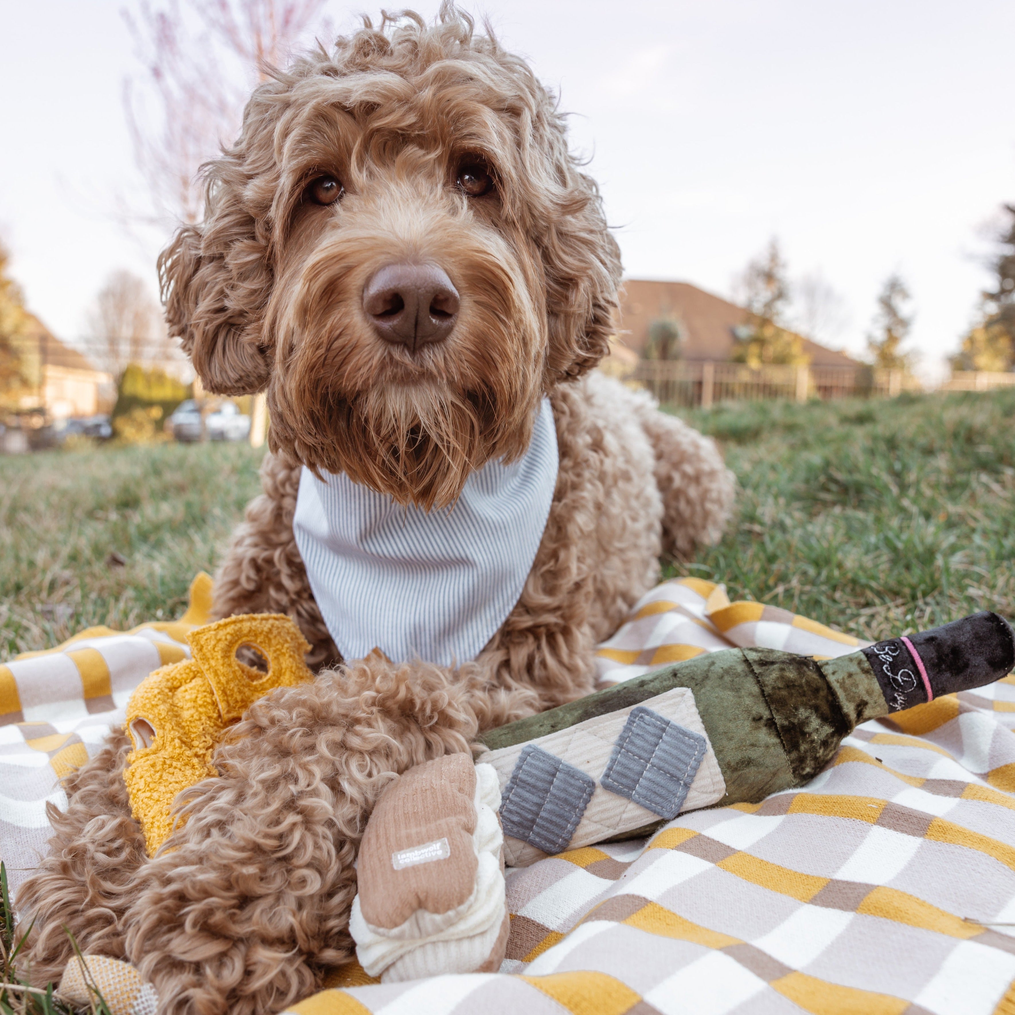 PICNIC BLANKET - Lambwolf Collective